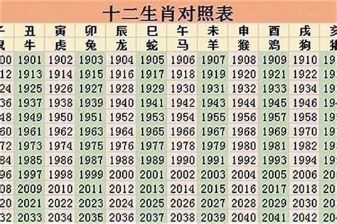 2025 生肖|2025年属什么生肖 2025年的生肖是什么